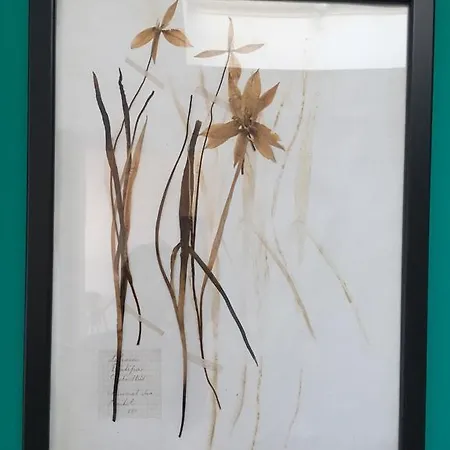 Διαμέρισμα Parc Des Expositions
